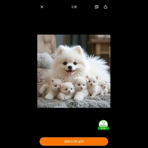 do혀니