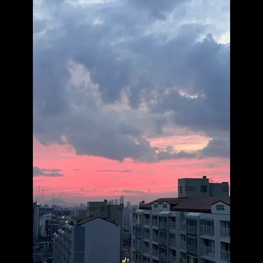 가을흔적